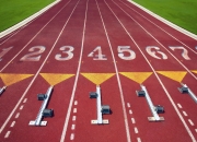 熊猫世界杯2026-跨界主宰，当紫金军团遭遇极速银箭，欧文于F1赛道接管比赛